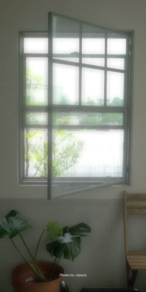 绿色壁纸 锁屏  cr.chomi