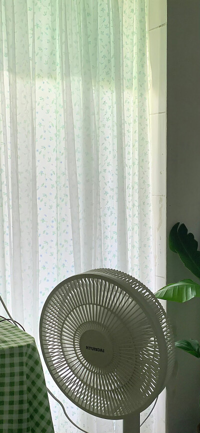  ꕀ.小清新壁纸.ᐟ.ᐟ
