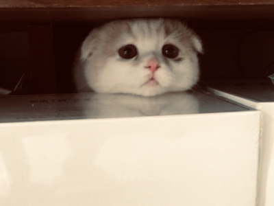 清关留名 只点赞不收藏的找我互取 此贴明天删