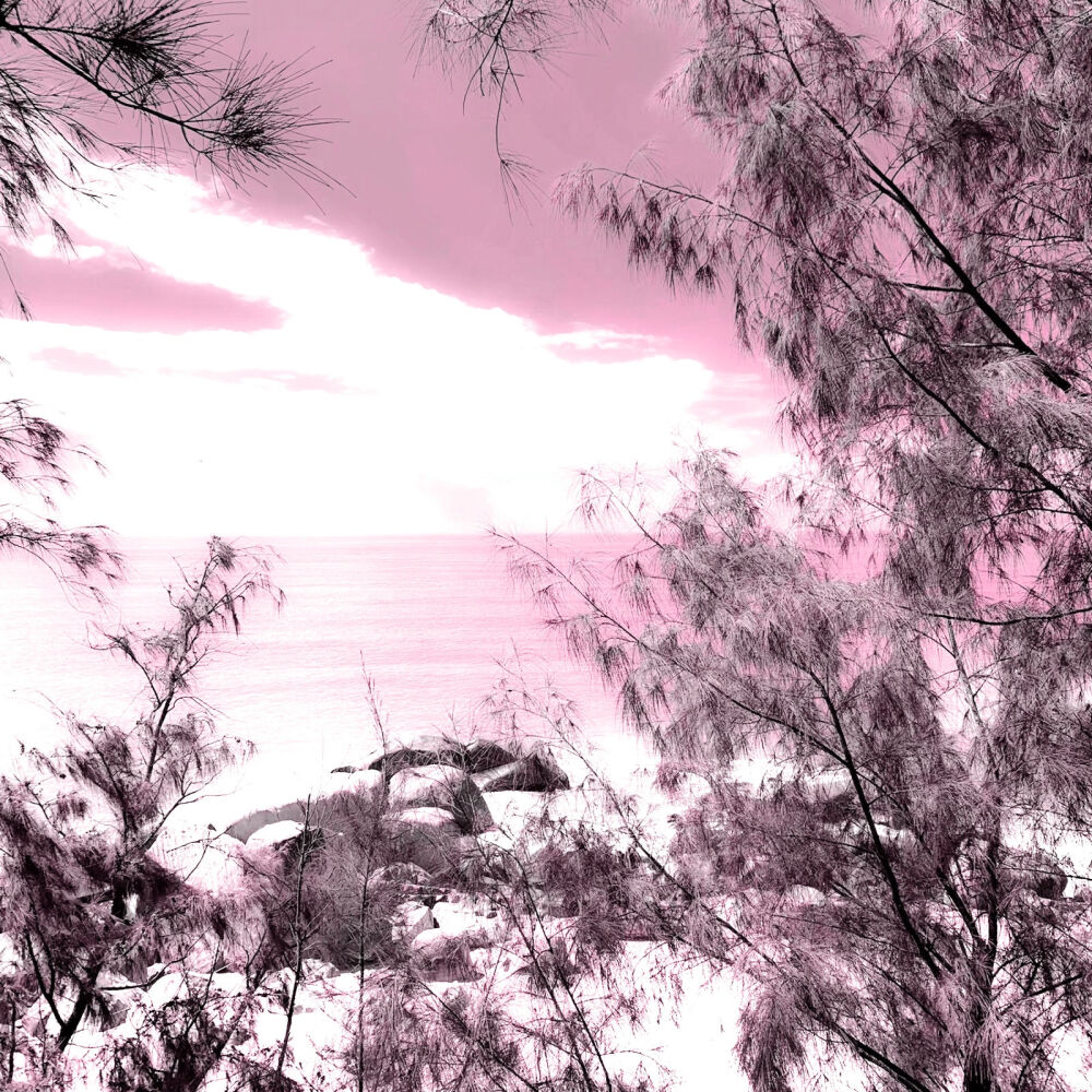 
朕不是个好丈夫 不是个好父亲 也不是个好儿子 那又怎样呢 朕是一个人见人爱的女孩