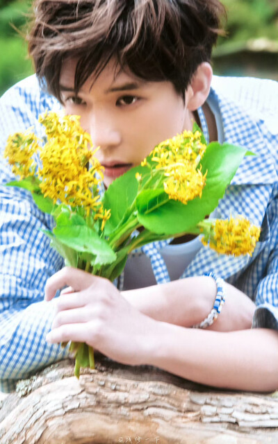 王安宇