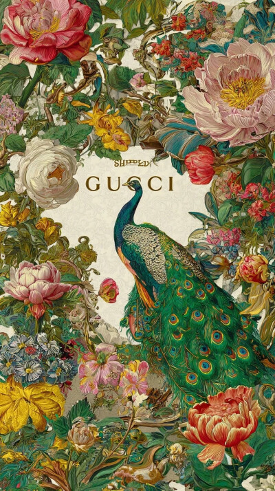 孔雀 牡丹 花鸟 中国传统图案纹样 一颗酸苹果的壁纸库