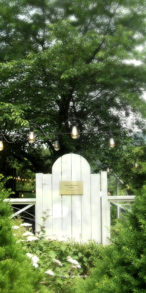 绿色壁纸 锁屏  cr.chomi