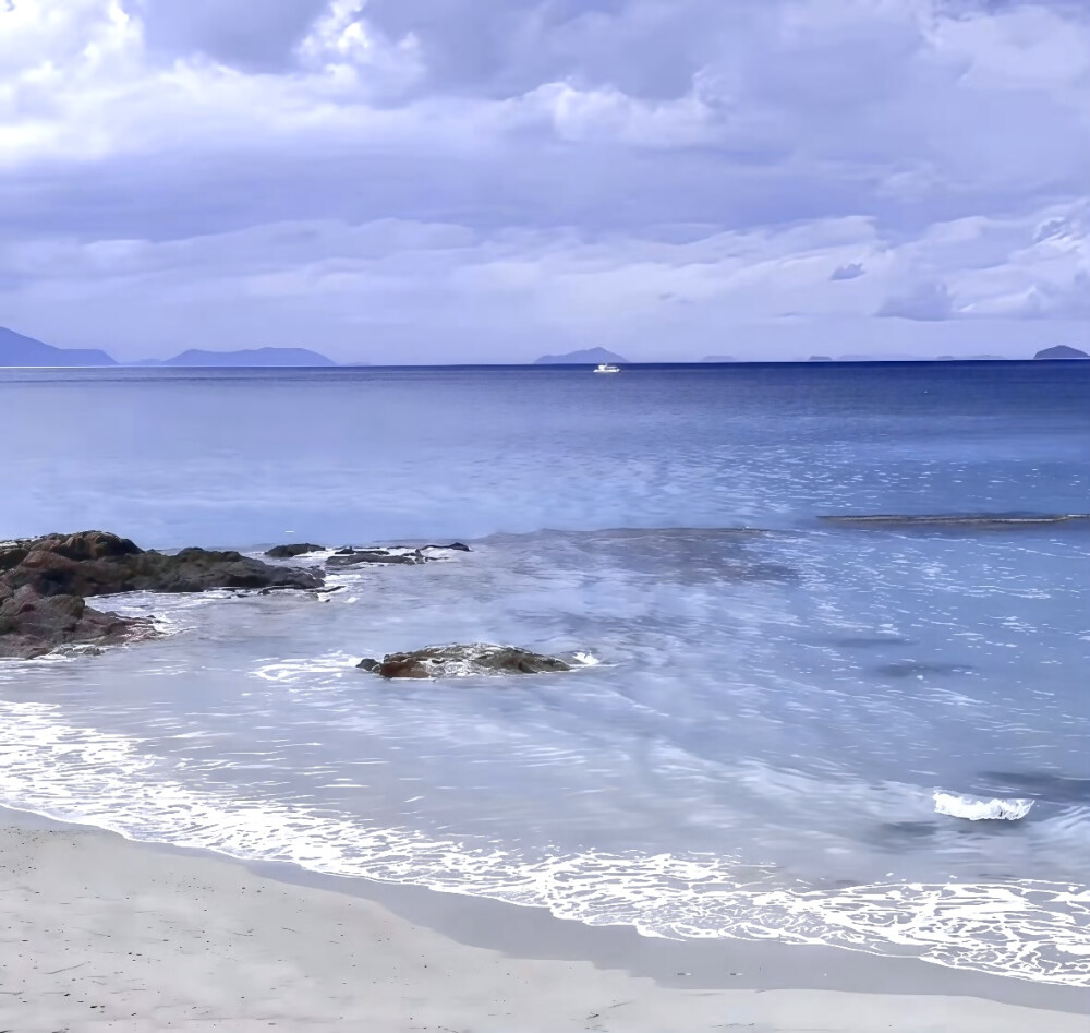 小洲黎黎来宠幸我惹