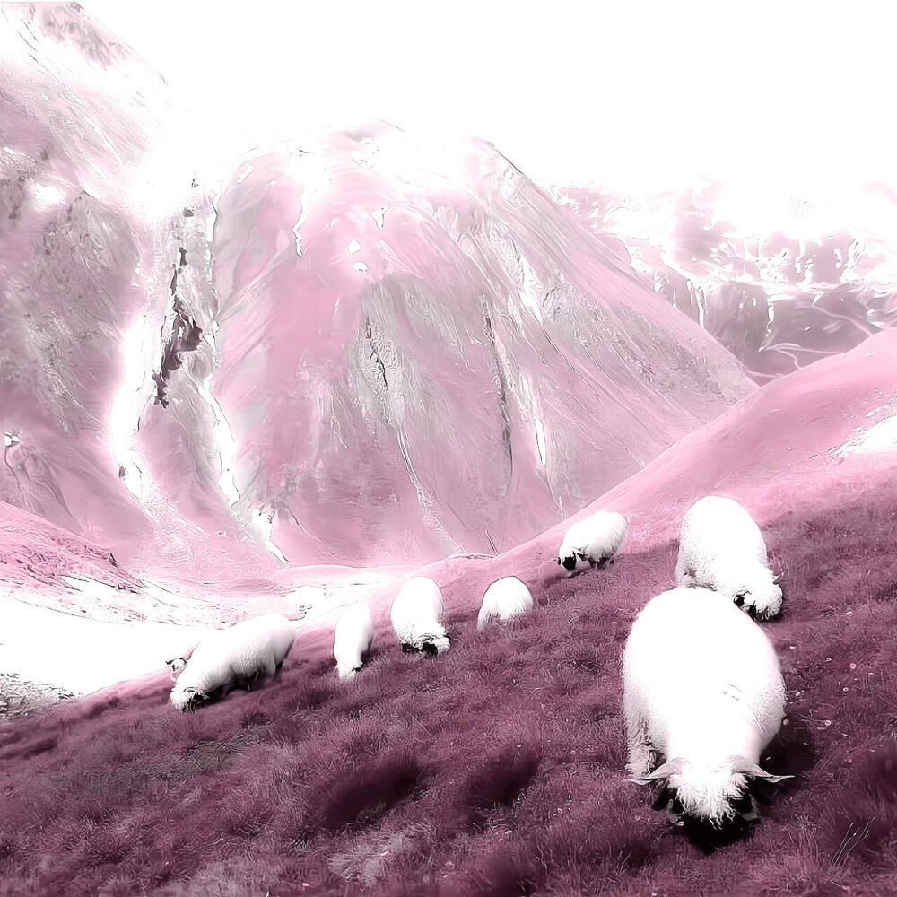 
朕不是个好丈夫 不是个好父亲 也不是个好儿子 那又怎样呢 朕是一个人见人爱的女孩