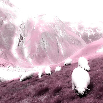 
朕不是个好丈夫 不是个好父亲 也不是个好儿子 那又怎样呢 朕是一个人见人爱的女孩