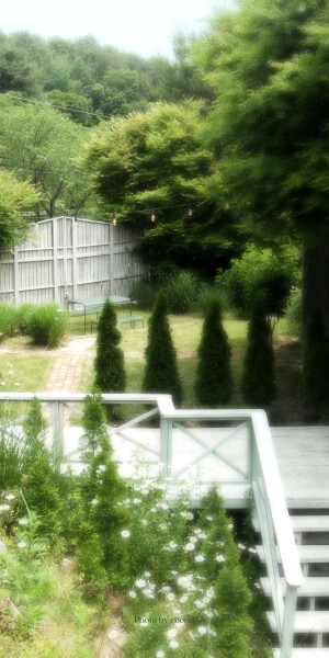 绿色壁纸 锁屏  cr.chomi