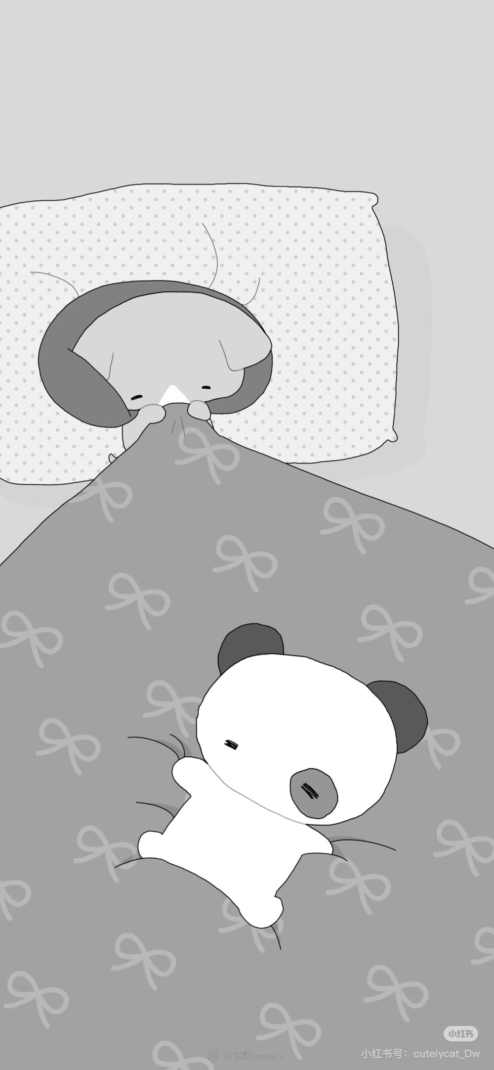 x壁纸