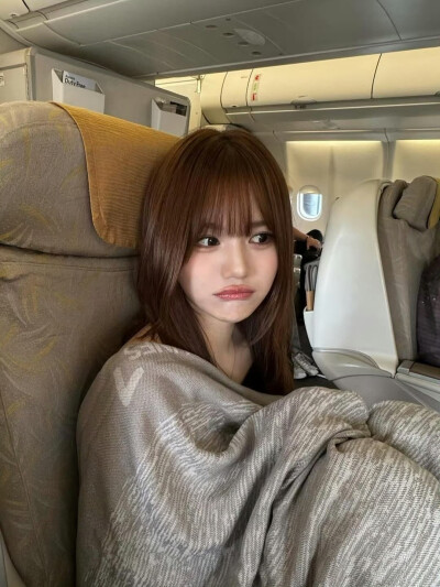 齐藤芹菜