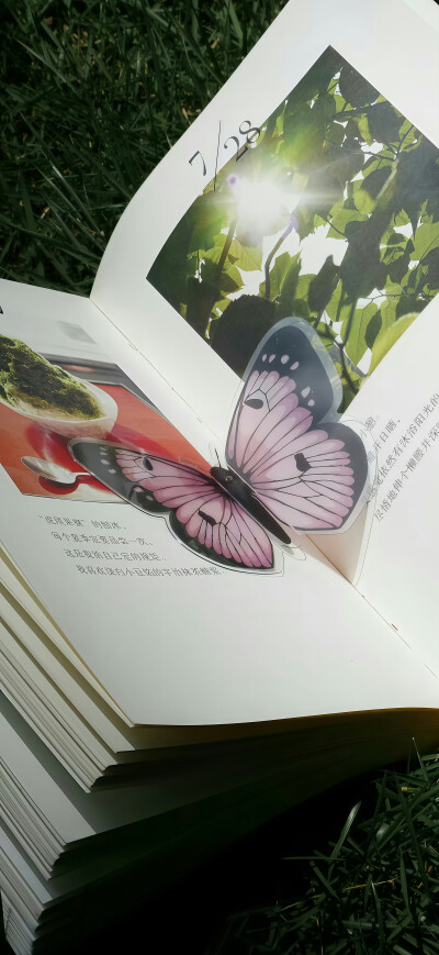 壁纸