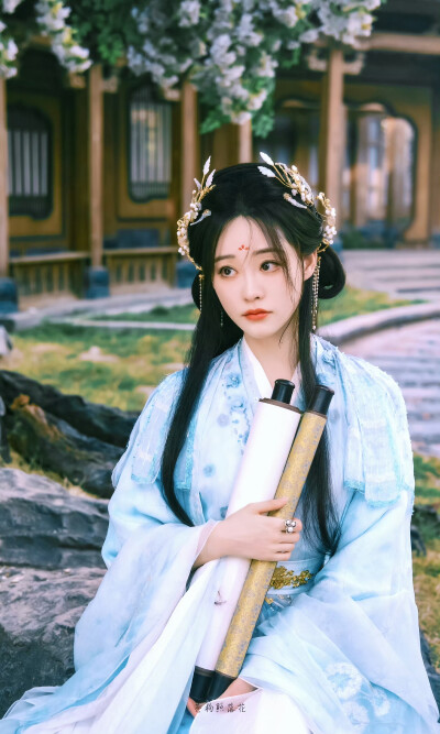书卷一梦