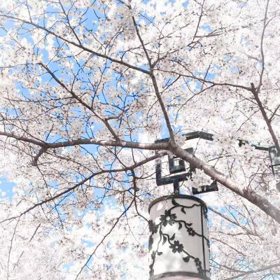 裴珠泫