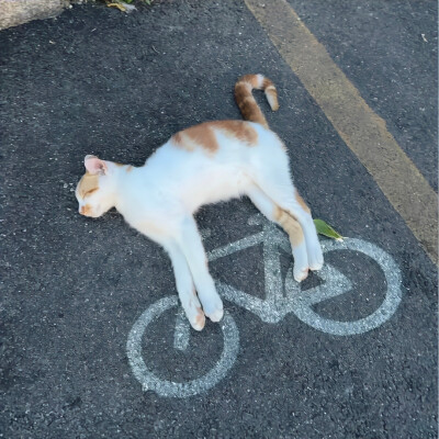 蓝色背景图 ins风