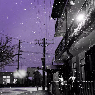 雪会化 暮色会沉 但残湖底的水 是比季节更执拗的东西