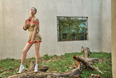 真理·图源微博