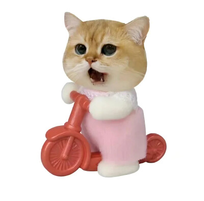 ins
