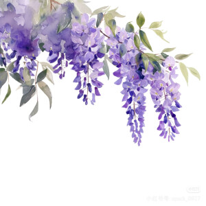 紫色边框 紫色花朵素材