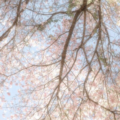  天气未报