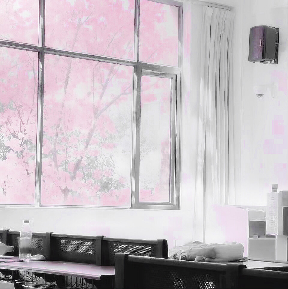 貓耳