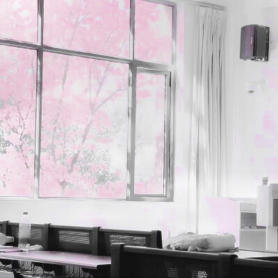 貓耳