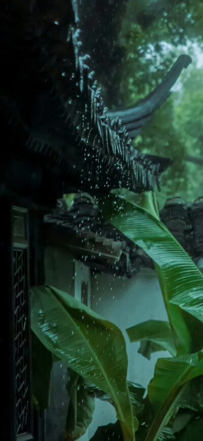 手机壁纸