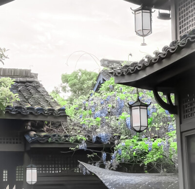 森森这厢有礼了