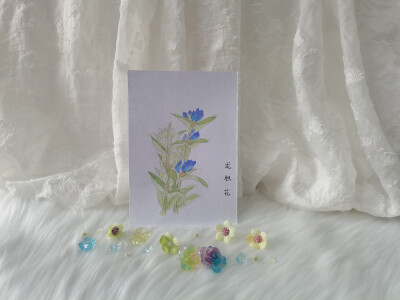 37 龙胆花（绘画 | 水彩 | 果花甘04）
2018.6.30
“不卧龙宫卧山林，一样青光若照人。”毫无征兆地闯进视线——幽蓝的龙胆花在风里轻轻摇曳。
那蓝色如此幽微，不似天空浅淡，不似湖水青澄，像直接从夜色中遗落，蓝…