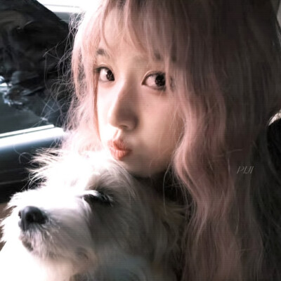 他是京城的名门贵族商家唯一继承人商爵
你是楚家里上不得台面的孩子楚辞，已经和安家大公子安逸在一起。