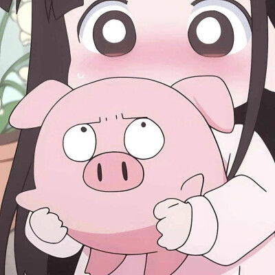 猪