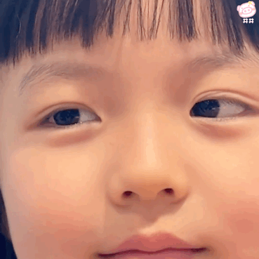 萌娃丸子妹表情包动图
可爱的表情包