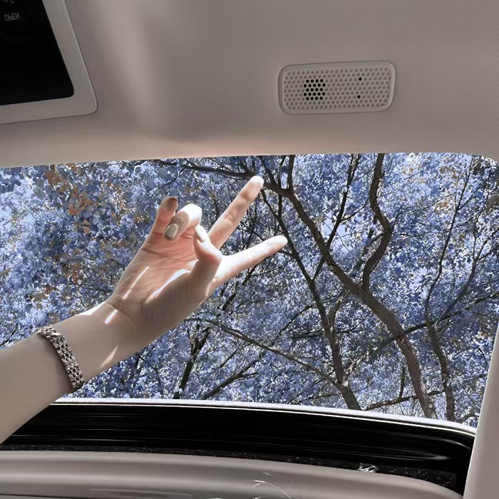 病哚宝宝送的洁琼呀～