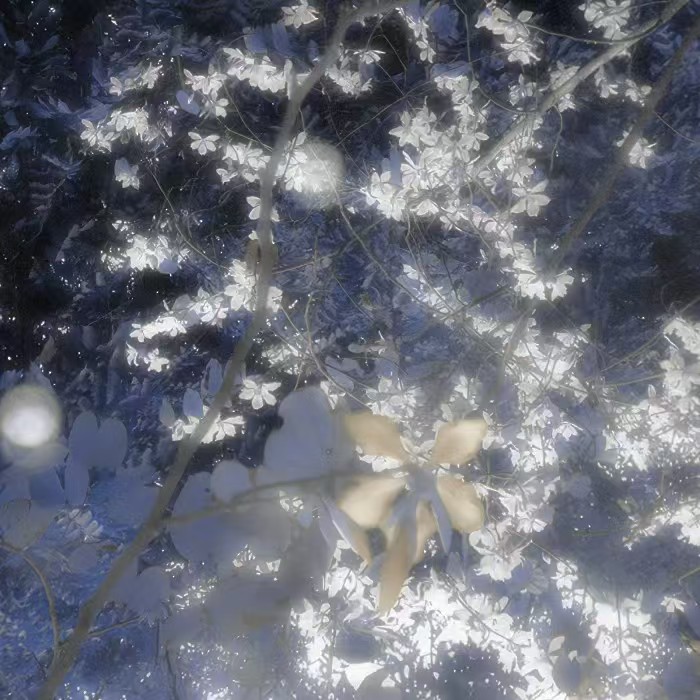 病哚宝宝送的洁琼呀～