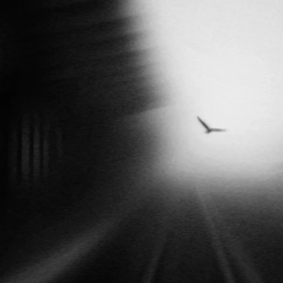 *墜入一場風暴裏:La dépression et la colère ne vous dérangent pas