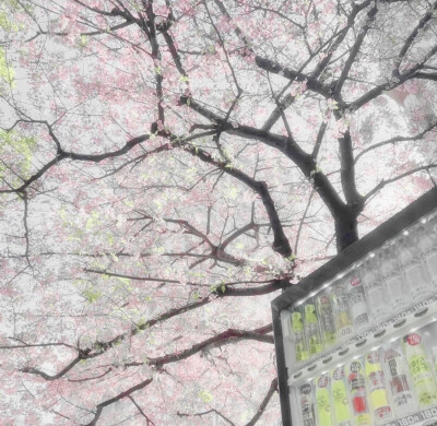 天气晴