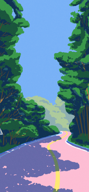 夏天
图片来自网络，侵删