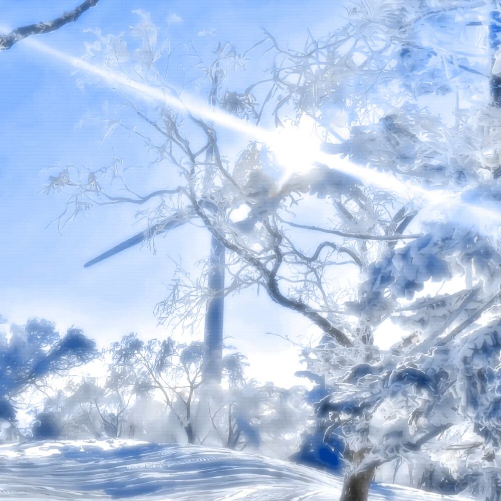 雪是零落的诗篇