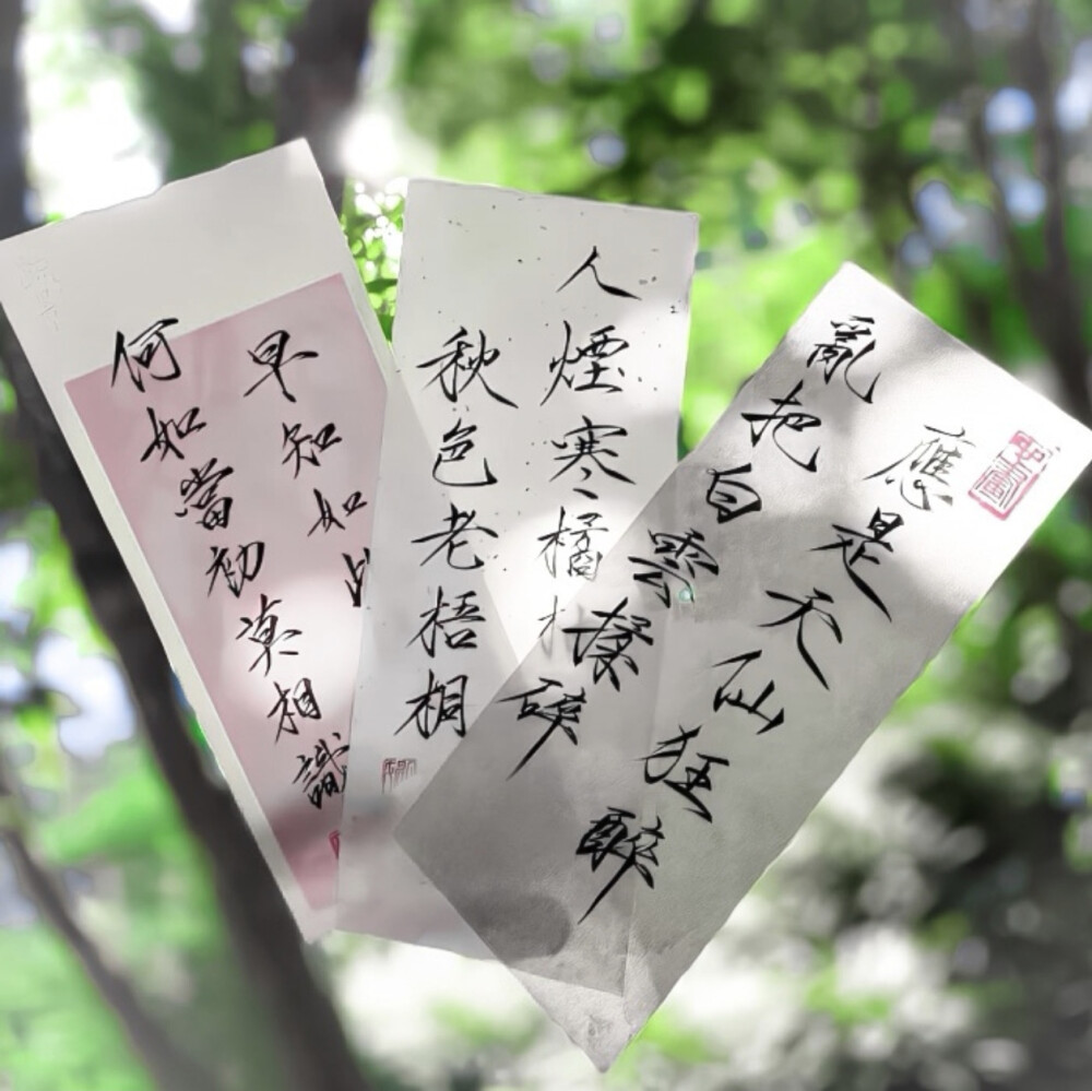 森森这厢有礼了