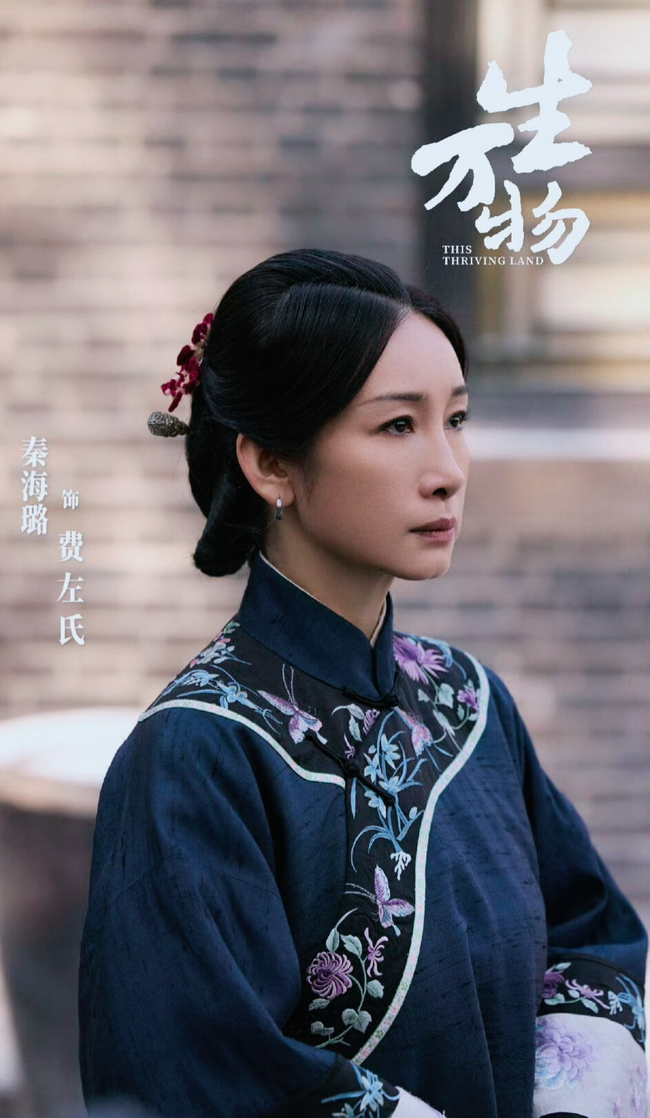 秦海璐