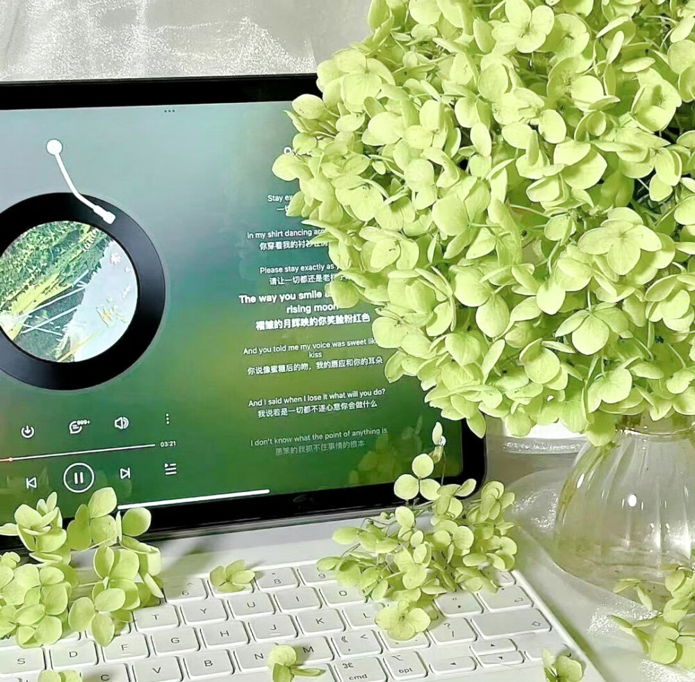 
Romantic Dinner (Restaurant Music) ×水中仙.