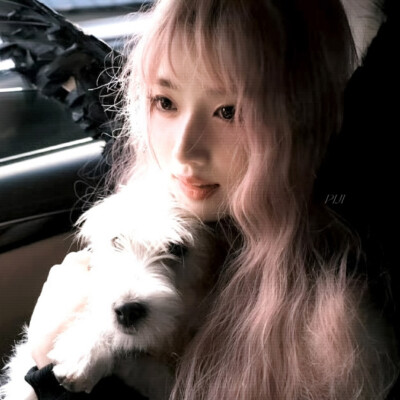 他是京城的名门贵族商家唯一继承人商爵
你是楚家里上不得台面的孩子楚辞，已经和安家大公子安逸在一起。