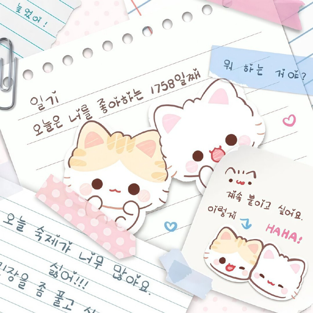 星眠旷野✩₊˚.⋆☾⋆⁺₊✧