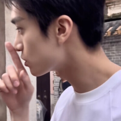树哥
