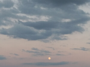 傍晚时分拍到的月亮！