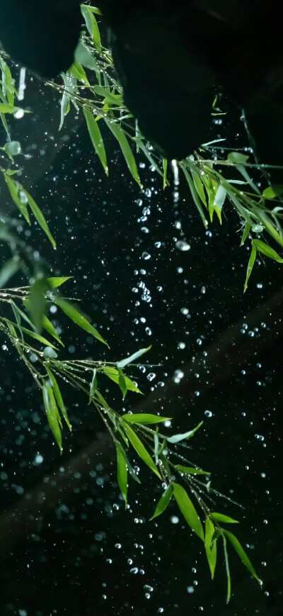 手机壁纸