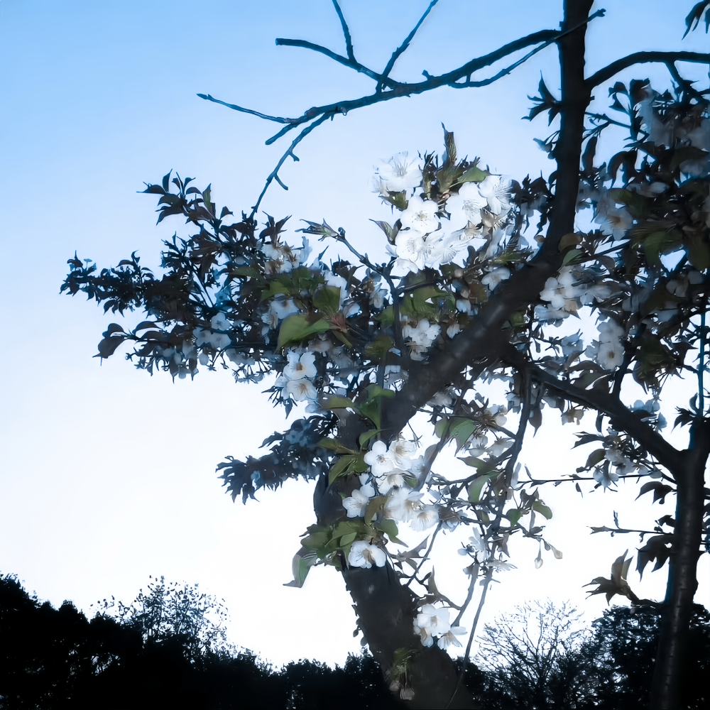 你能体谅我有雨天