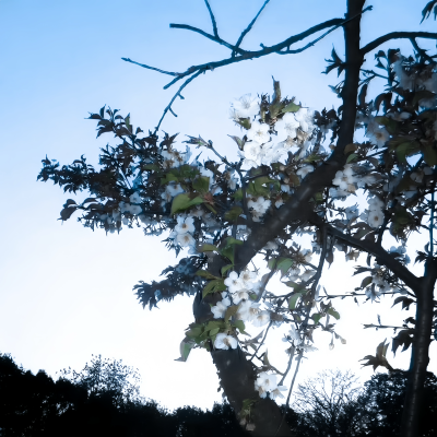 你能体谅我有雨天
