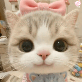 猫咪表情包动图
可爱的表情包