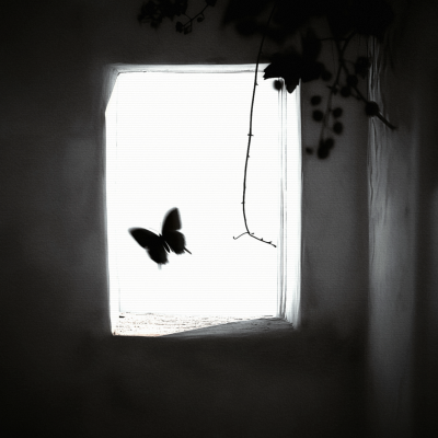 I wish I can quit you、“慢半拍”+Lullaby