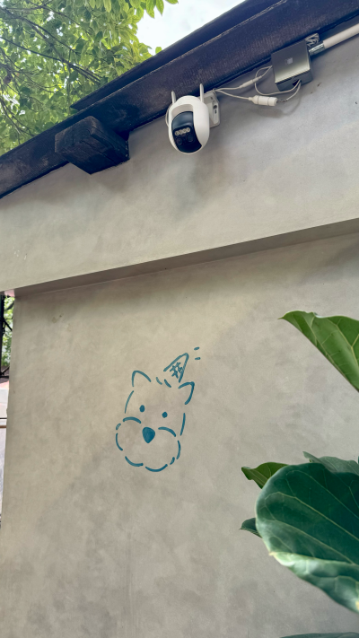小狗背景
