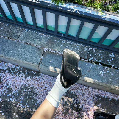 落日溺在云层里月光散落森林里 